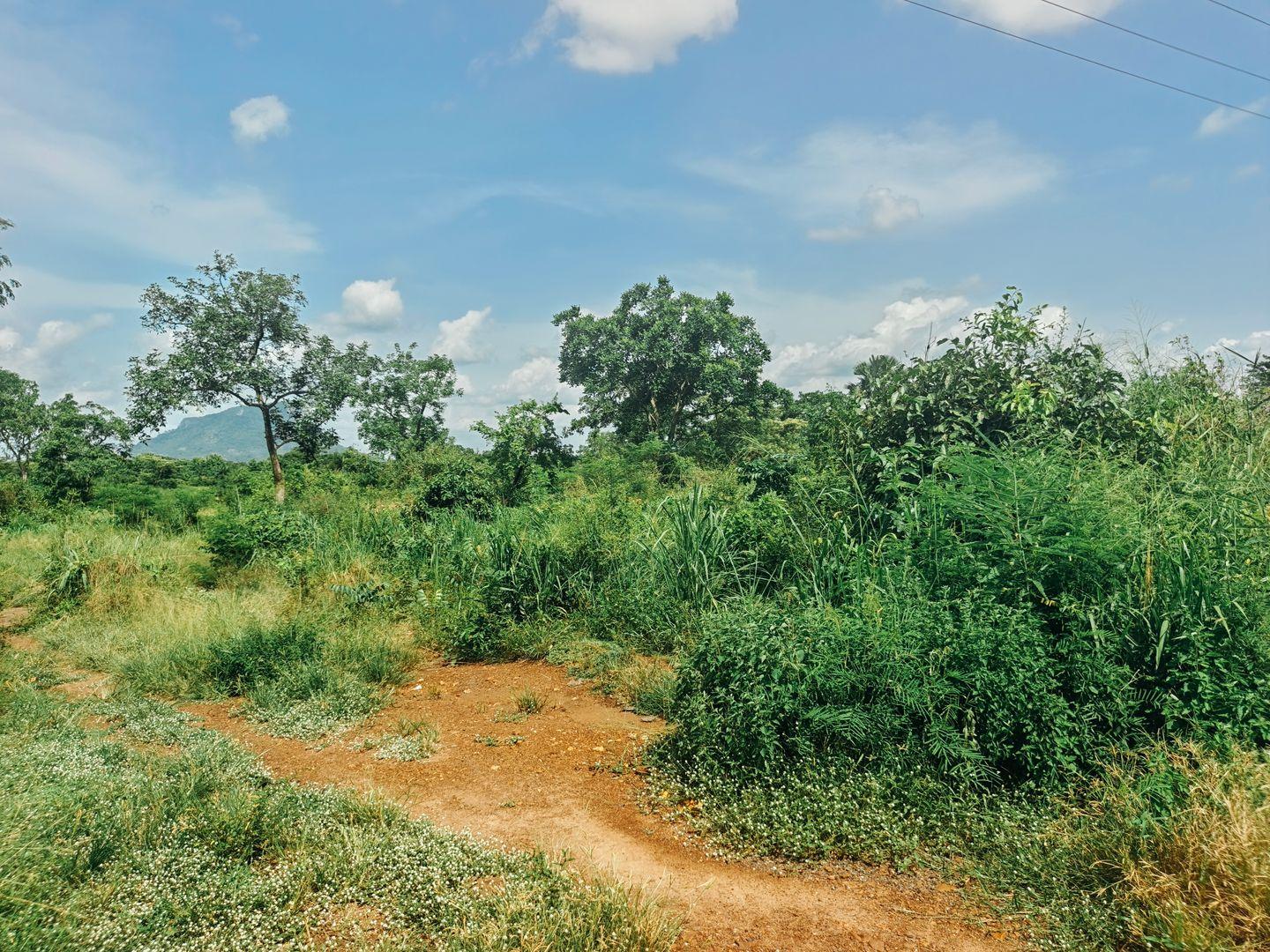 Residential Plots of Land around UHAS